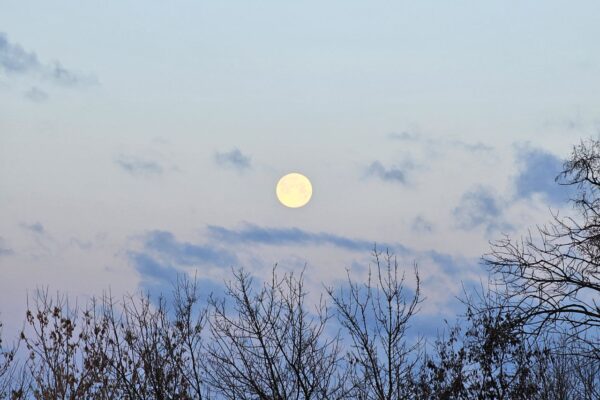 photo_2023-12-27_06-45-27