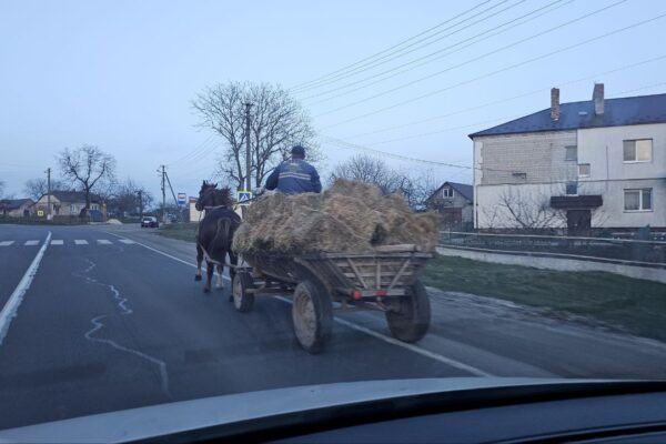 photo_2024-02-27_21-53-49